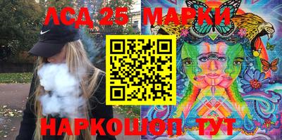 шишки Боровичи