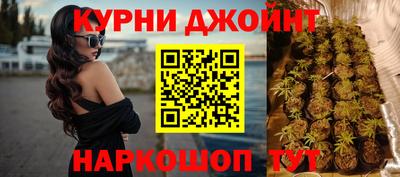 a pvp Брянск