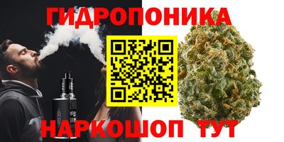a pvp Брянск