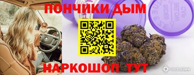 шишки Боровичи