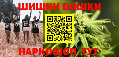 шишки Боровичи